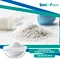 L-arginine plays important roles in the synthesis of various protein molecules; creatine and   being the most easily recognised.